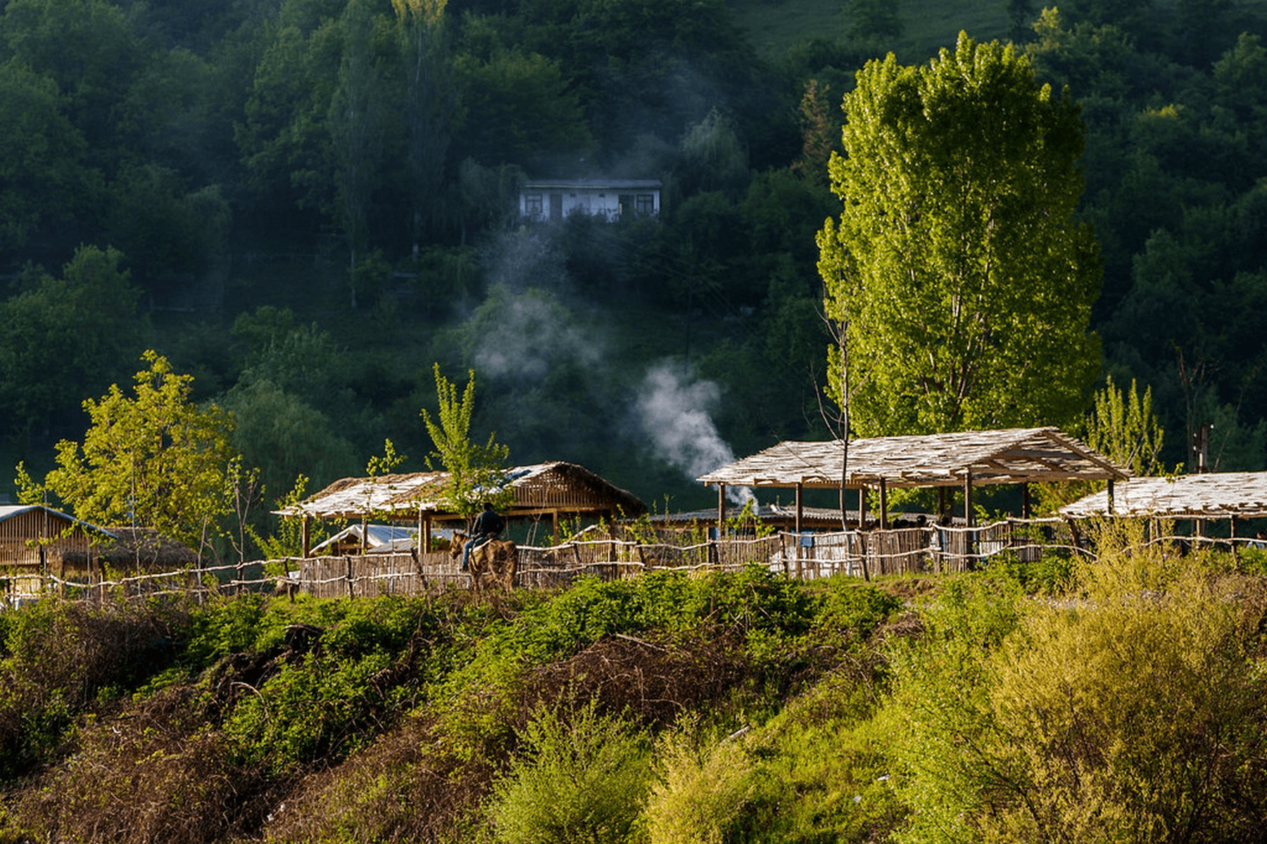 Forests & Lakes of Guba