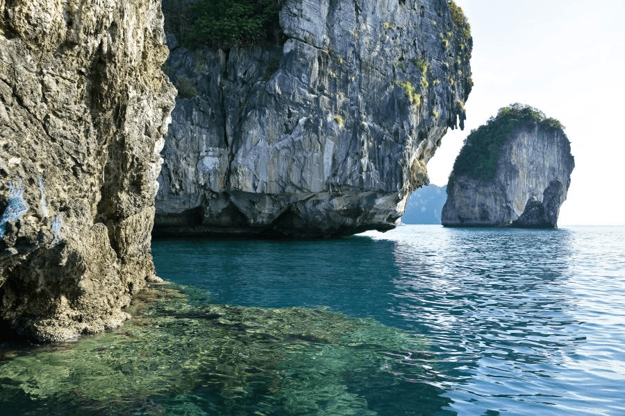 Full-Day Phi Phi Island Tour